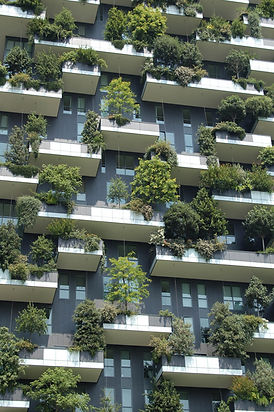 environmental-consultants-business-london